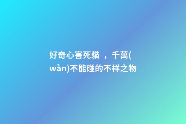 好奇心害死貓，千萬(wàn)不能碰的不祥之物